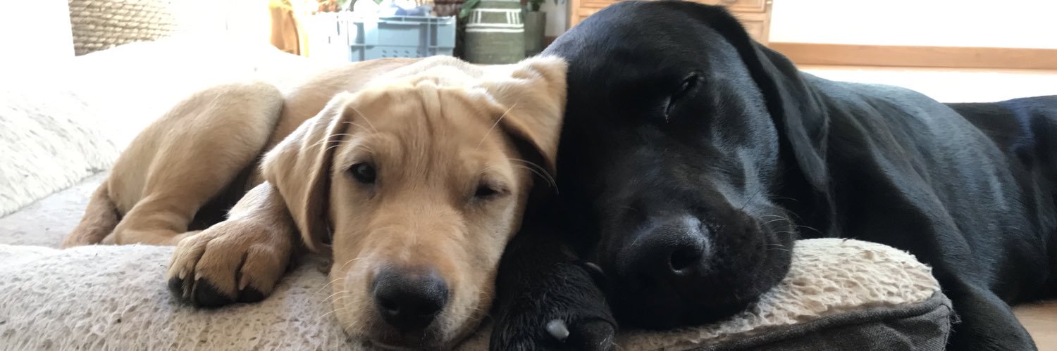 John Bohan 🇺🇦 banner