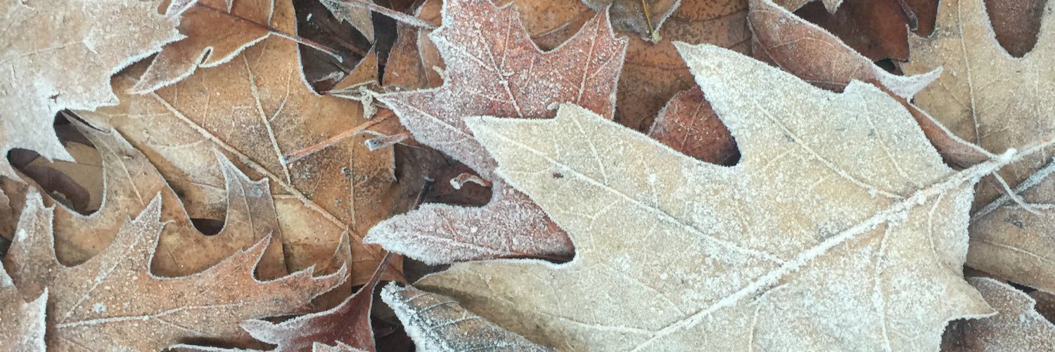 Knique07's profile banner image