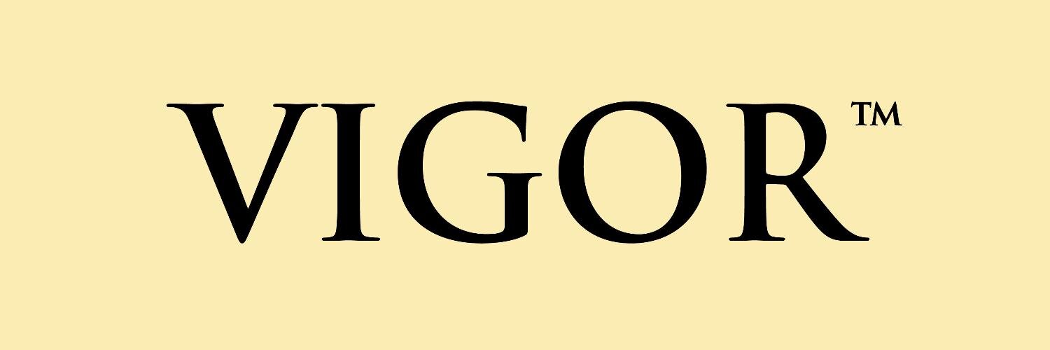 VigorGallery's profile banner image