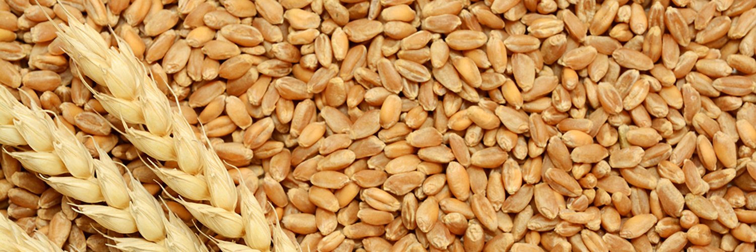 MN Wheat Growers banner