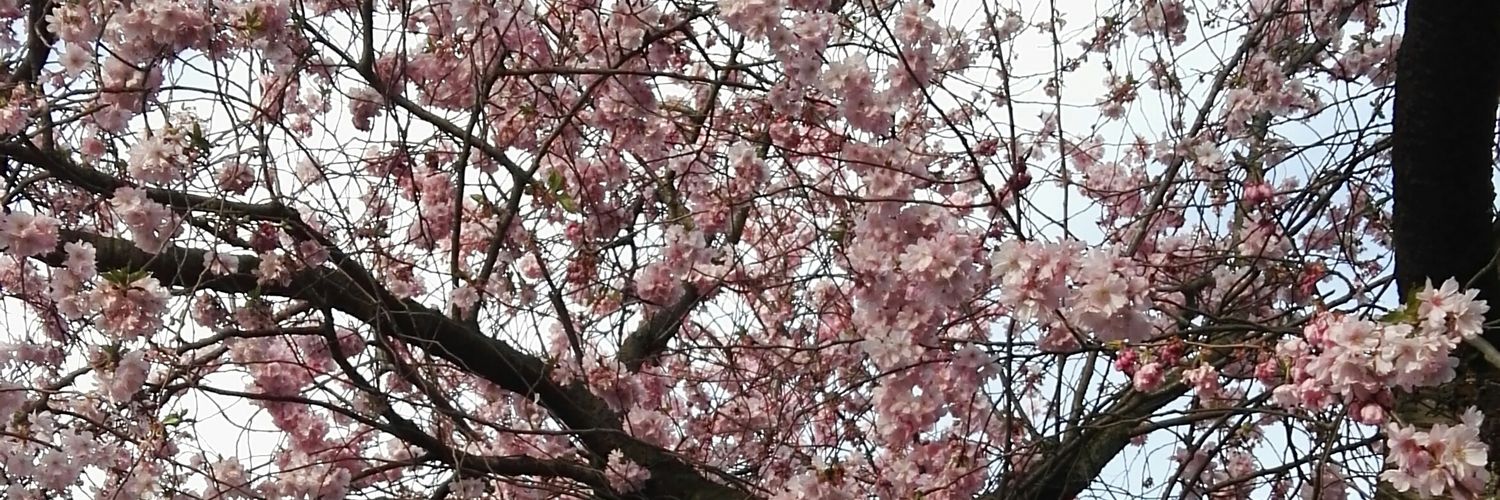 Yoko_Hime's profile banner image