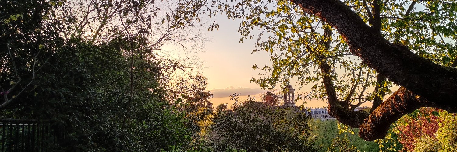 Miki Lombardi banner