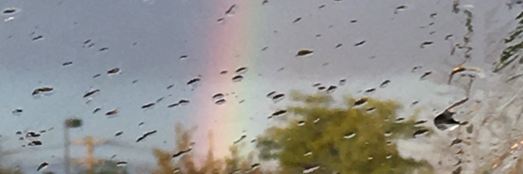 colabear94's profile banner image