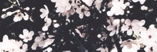 Liz_Coates_'s profile banner image