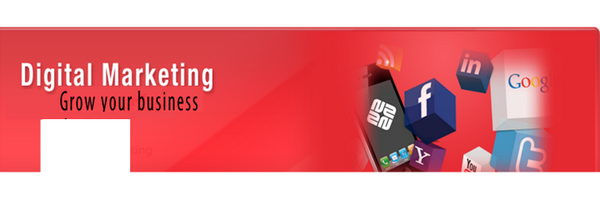 onwebcompany Profile Banner