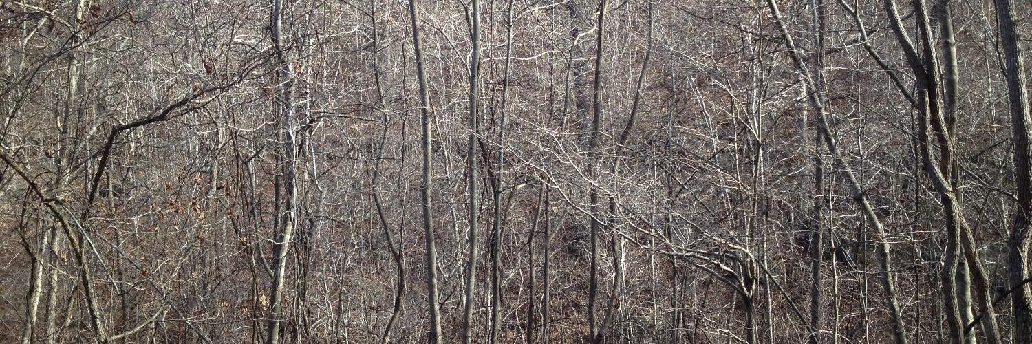 DVDinterrobang's profile banner image