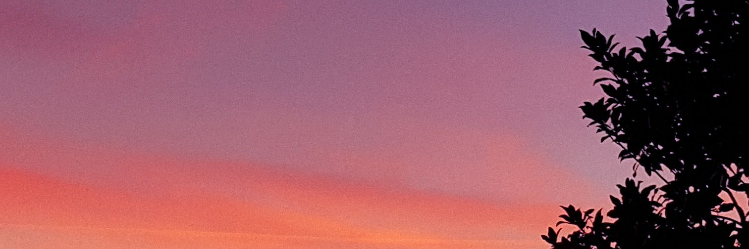 myndfast's profile banner image