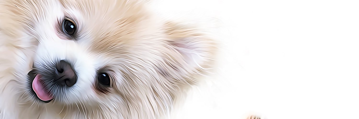 Halles_world's profile banner image