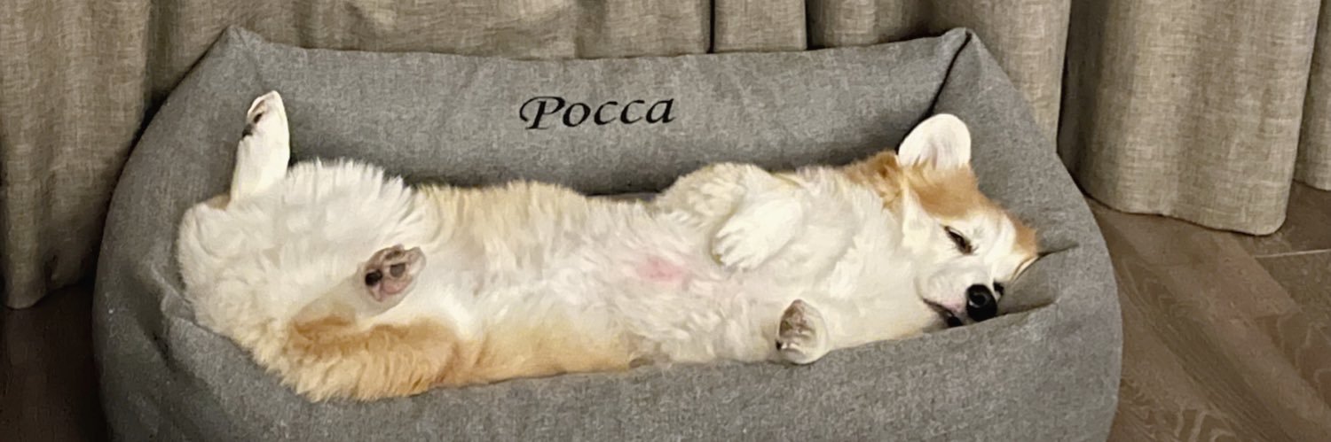 CLEOCHEN banner