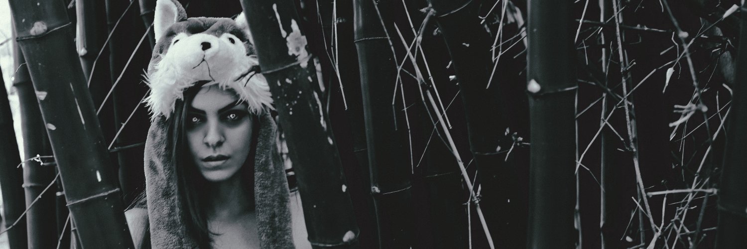 Loba_np's profile banner image