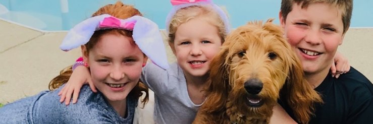 dannyharbert's profile banner image