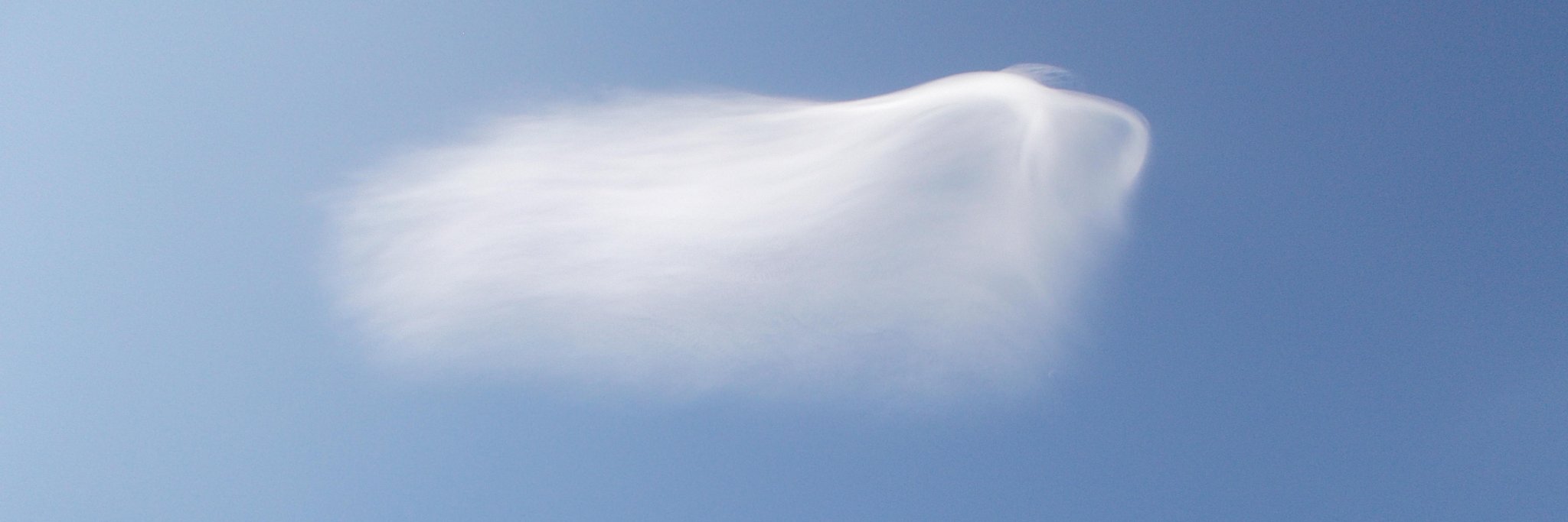 Josh Vande Hey banner