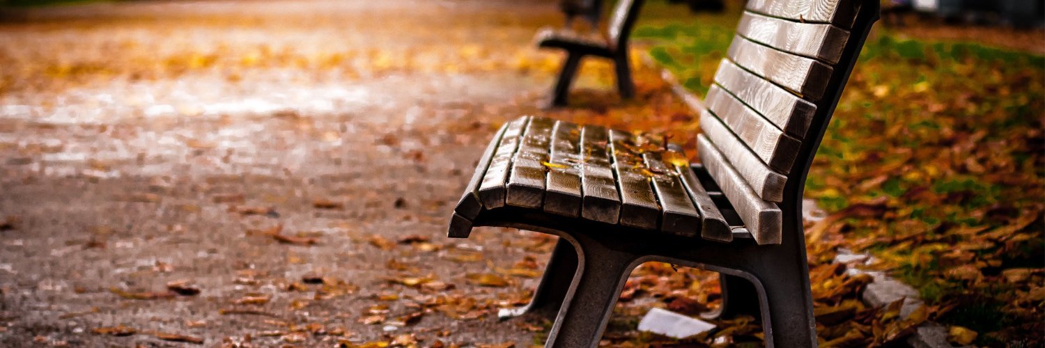 SCSR_poppunk's profile banner image