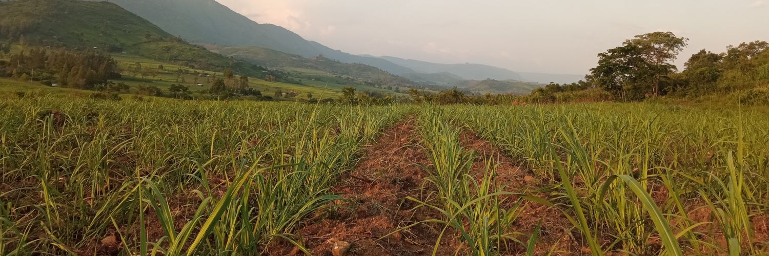 Sharon Cherobon banner