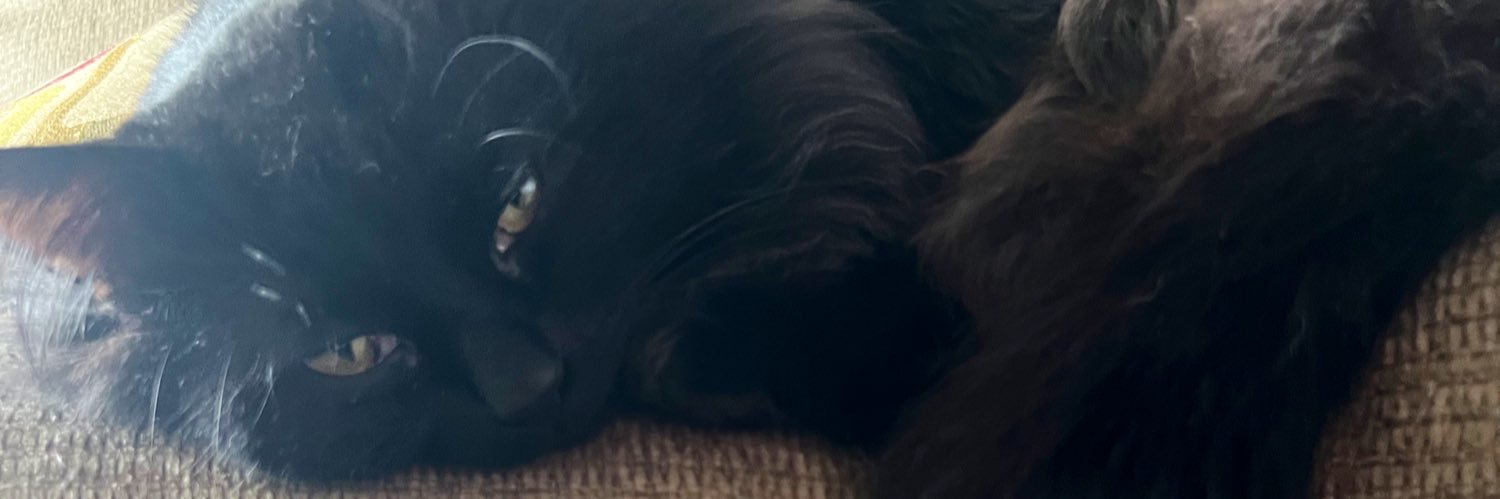 itskyliejo's profile banner image