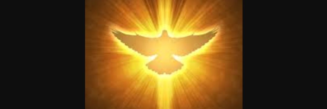 AlexGohan123's profile banner image
