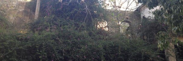 lamamfakih Profile Banner