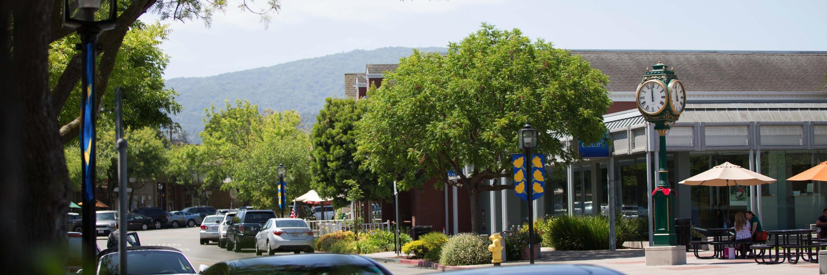 Los Altos Town Crier banner
