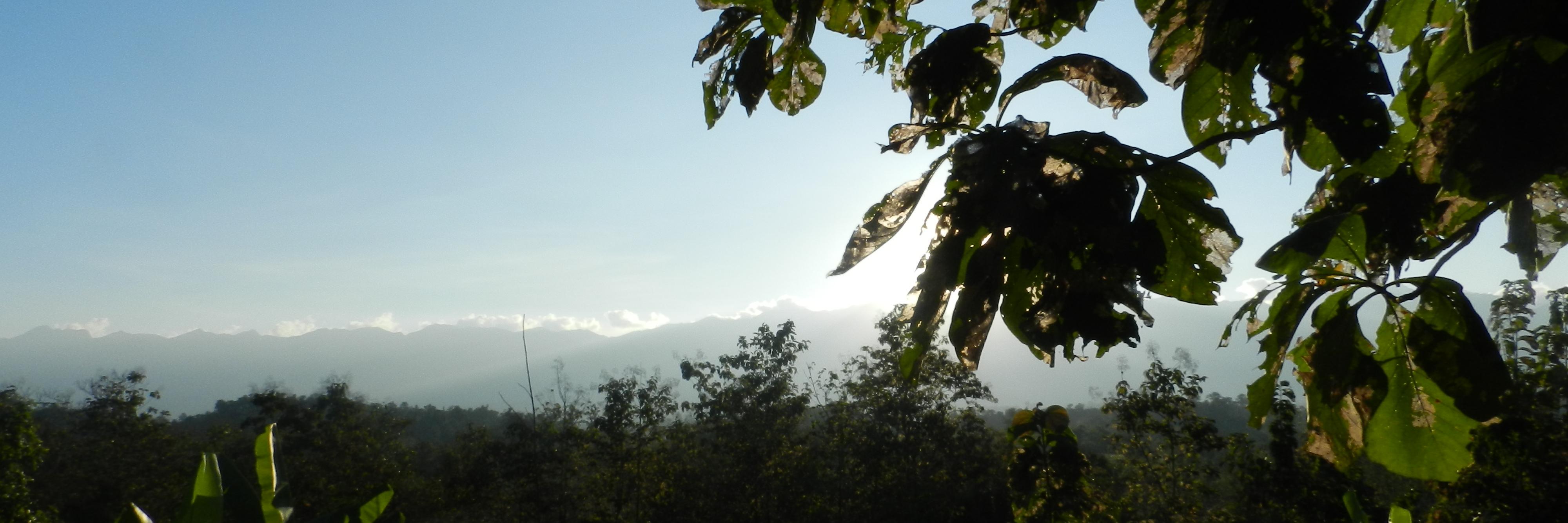 rhea_longley's profile banner image