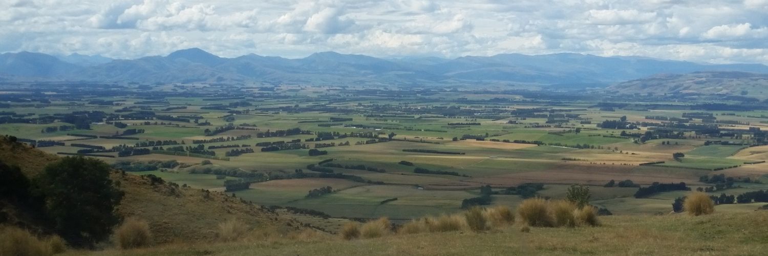 Jason Thompson banner