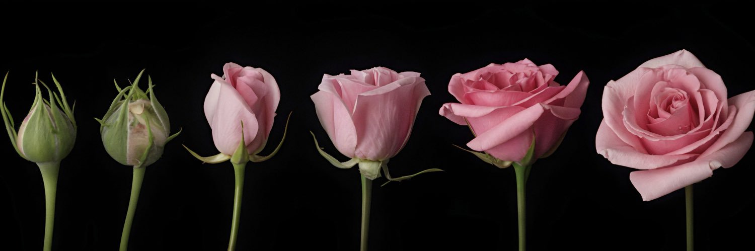 onzustin's profile banner image