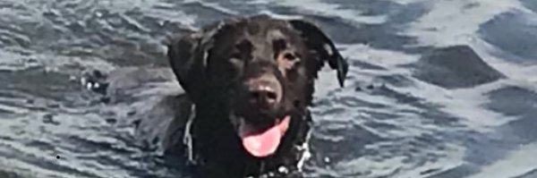 jackviking Profile Banner