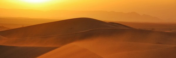 Sylvain Estibal banner