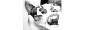 gorobchuk92's profile banner image