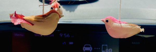 arpitsaharan Profile Banner