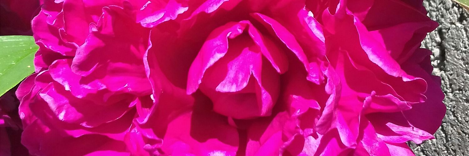 AmyAngelaom's profile banner image