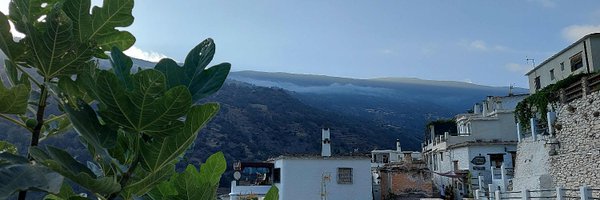 ChaniDem Profile Banner