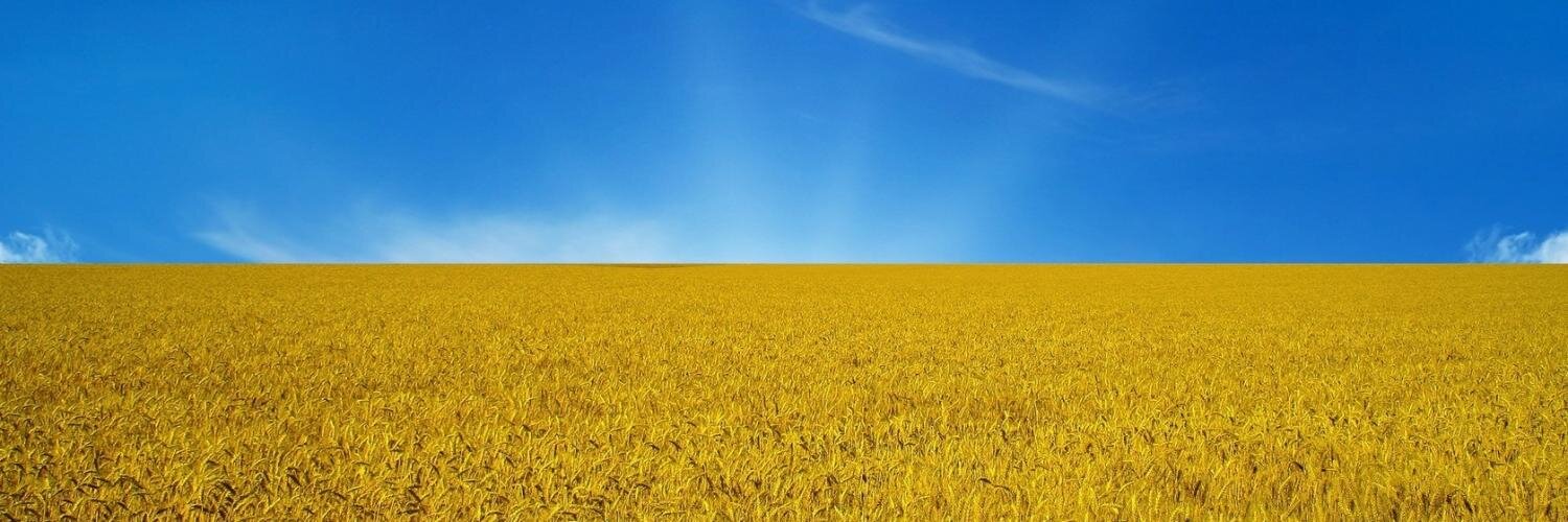 VovaTeslenko's profile banner image