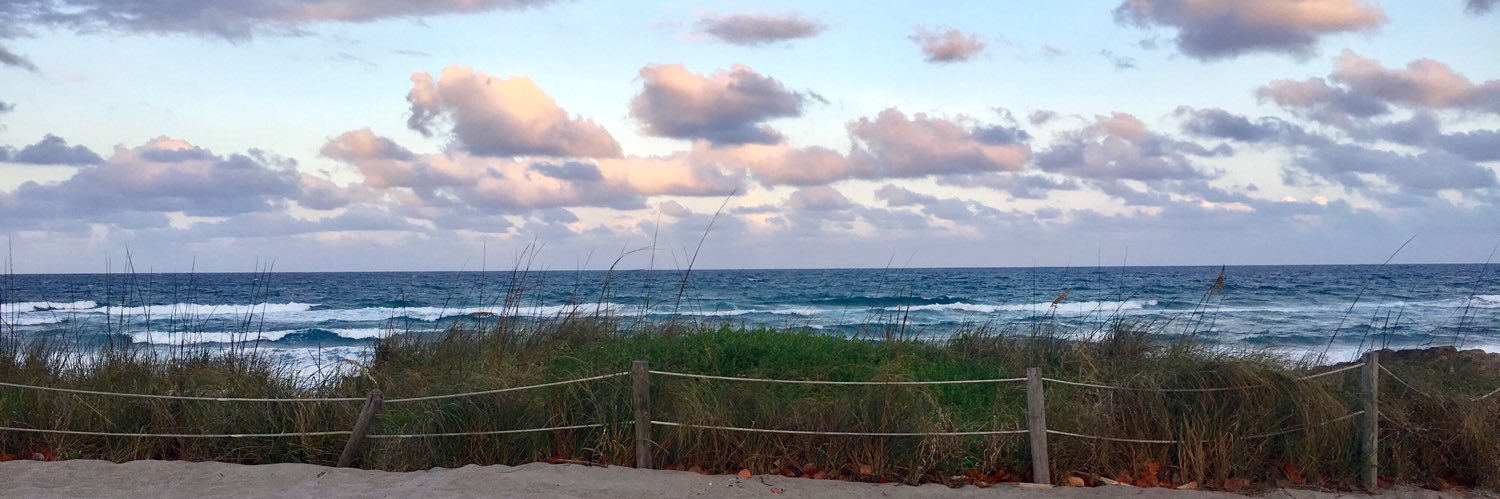 amandarassi's profile banner image
