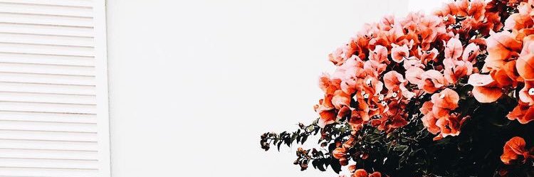 maddymoix's profile banner image