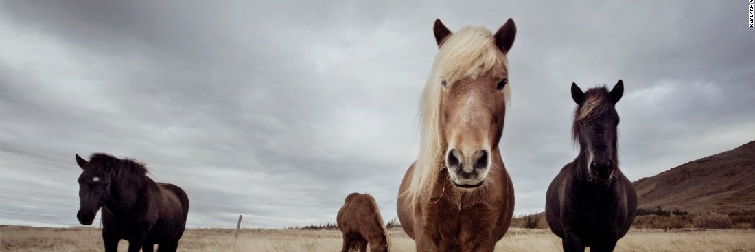 Irwin M. Fletcher banner