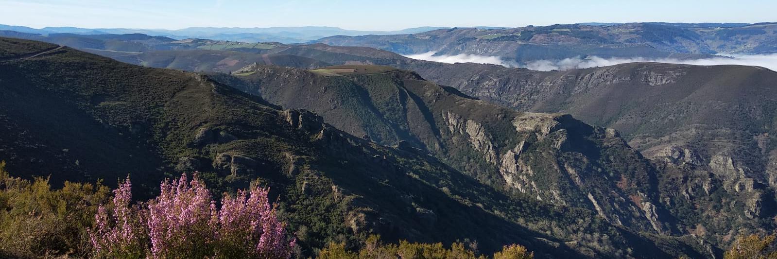 Vanessa Paredes banner