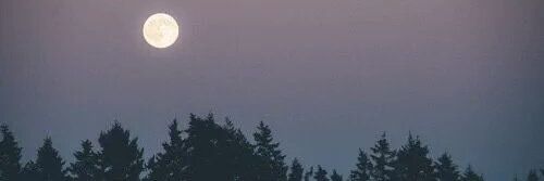 danieladyer's profile banner image