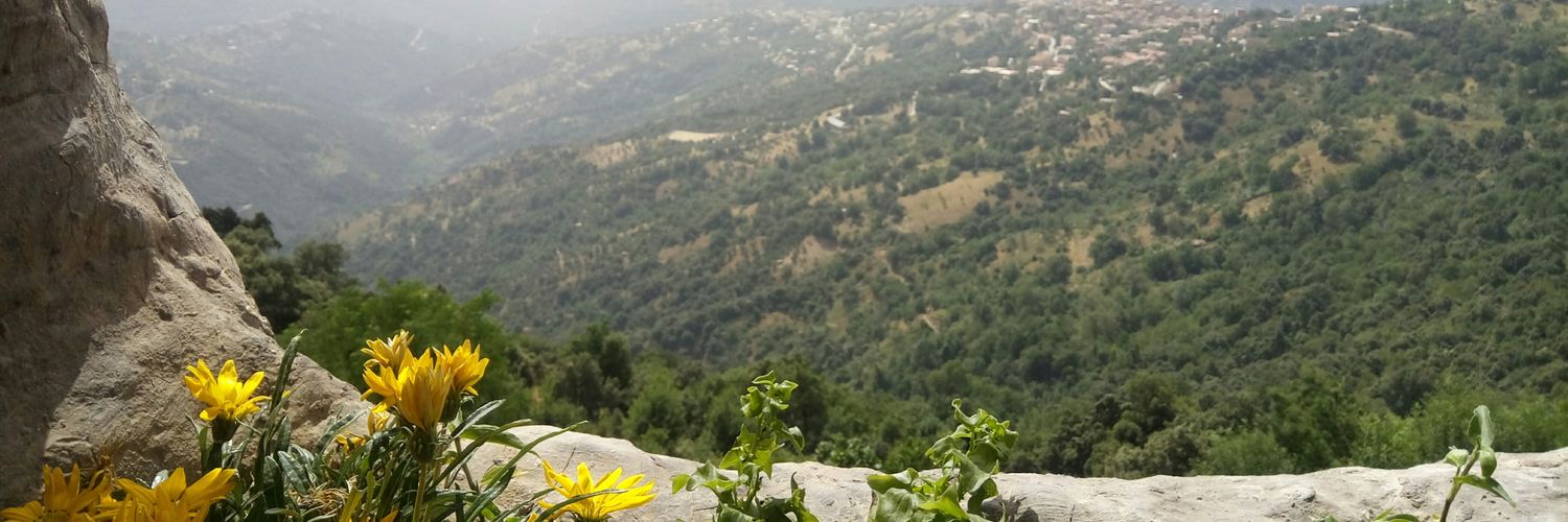 samiradehri8's profile banner image
