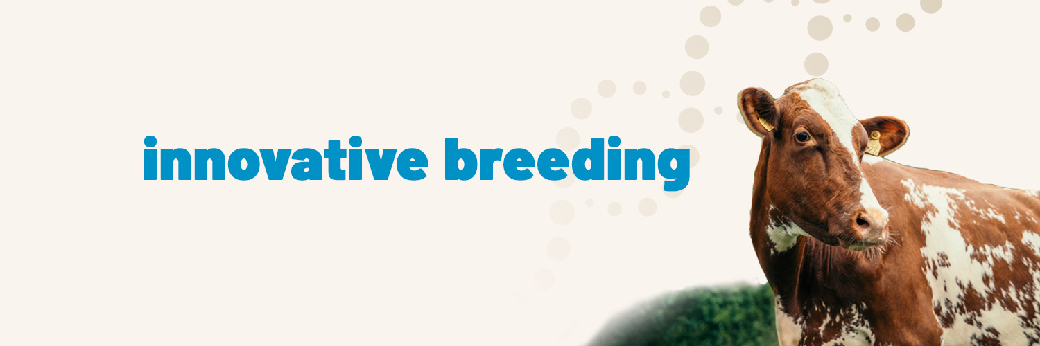 VikingGenetics banner