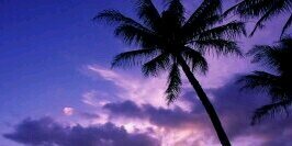 1TenderoniGirl's profile banner image