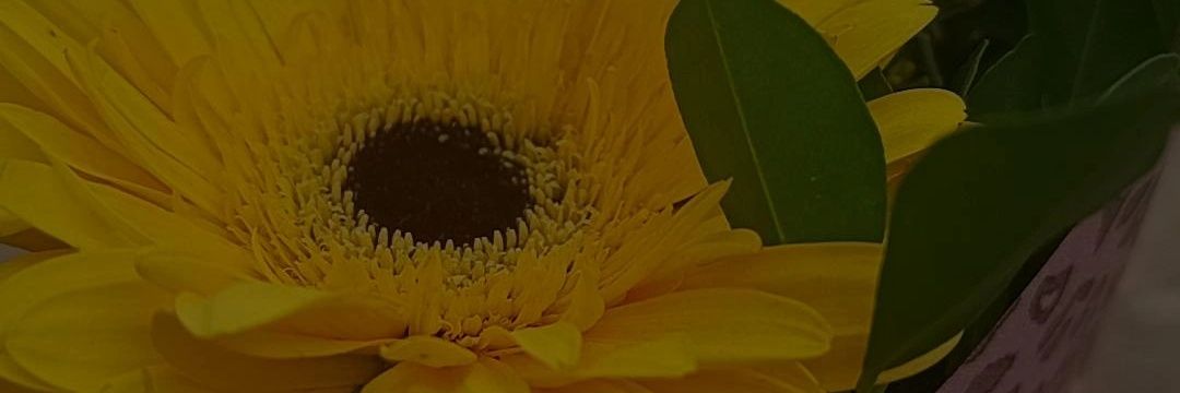 DomingosTha's profile banner image