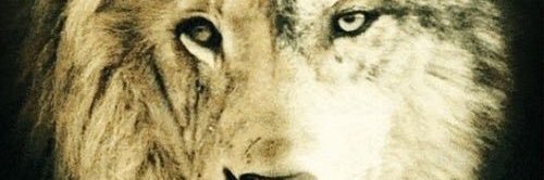 DkorDkizzy's profile banner image