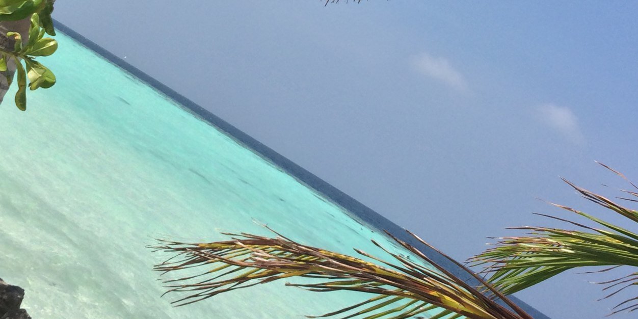 simotopona's profile banner image
