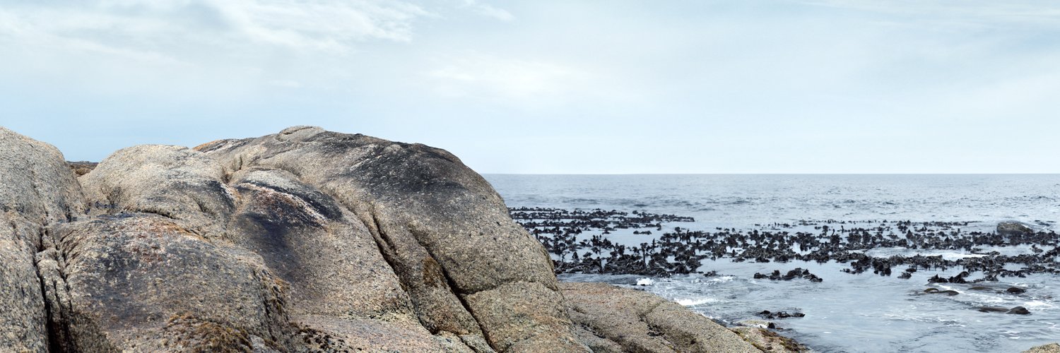 Vattenfall Suomi banner