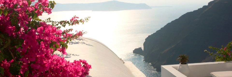 Jennifer Bistolas banner