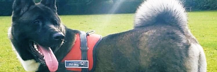 • Lee Dolo🍃 • banner