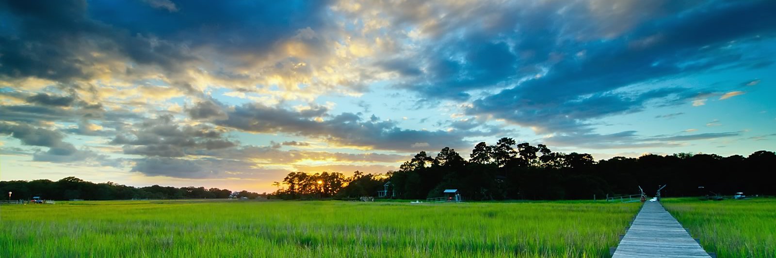 Corey C. Briscoe banner