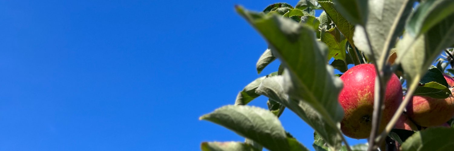 GLINTCAP 🏆 banner