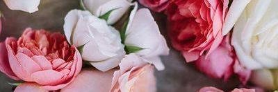 klisss's profile banner image