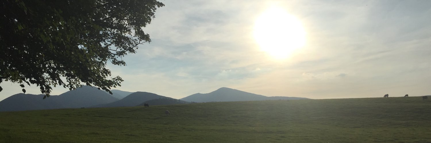 ewalkerpalin's profile banner image